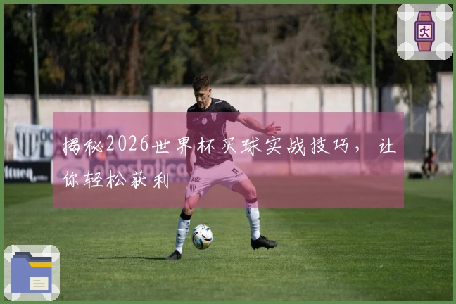 揭秘2026世界杯买球实战技巧，让你轻松获利