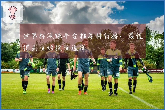 世界杯滚球平台推荐排行榜，最值得关注的投注选择