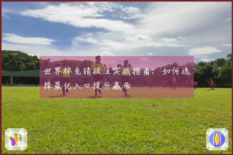 世界杯竞猜投注实战指南：如何选择最优入口提升赢面