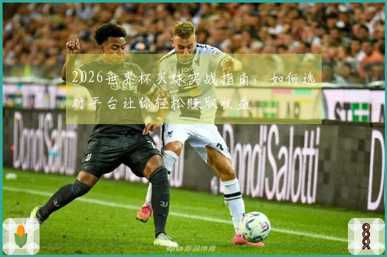 2026世界杯买球实战指南，如何选对平台让你轻松赚取收益
