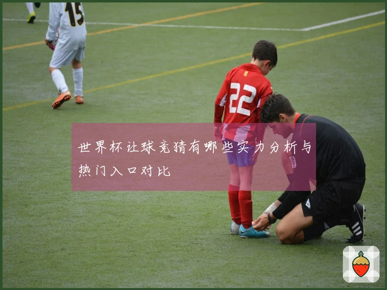 世界杯让球竞猜有哪些实力分析与热门入口对比