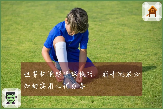 世界杯滚球买球技巧：新手玩家必知的实用心得分享