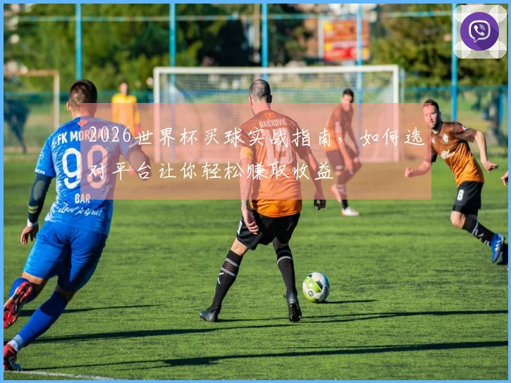 2026世界杯买球实战指南，如何选对平台让你轻松赚取收益