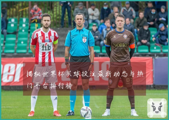 揭秘世界杯买球投注最新动态与热门平台排行榜