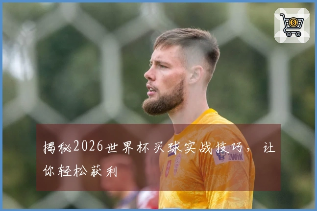 揭秘2026世界杯买球实战技巧，让你轻松获利