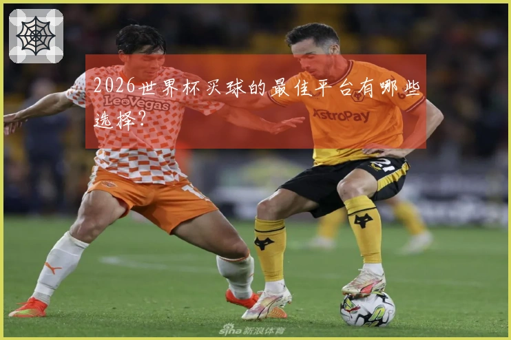 2026世界杯买球的最佳平台有哪些选择？